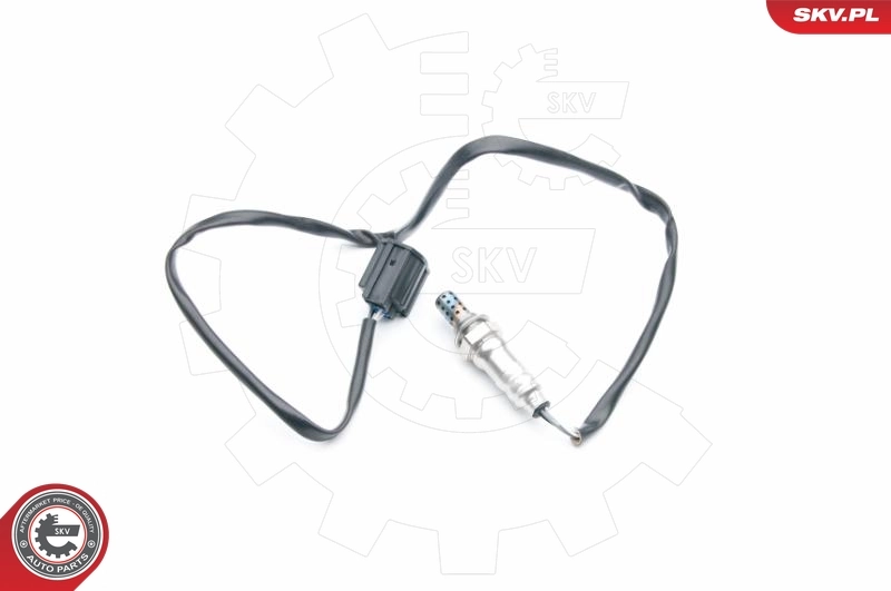Oxygen Sensor